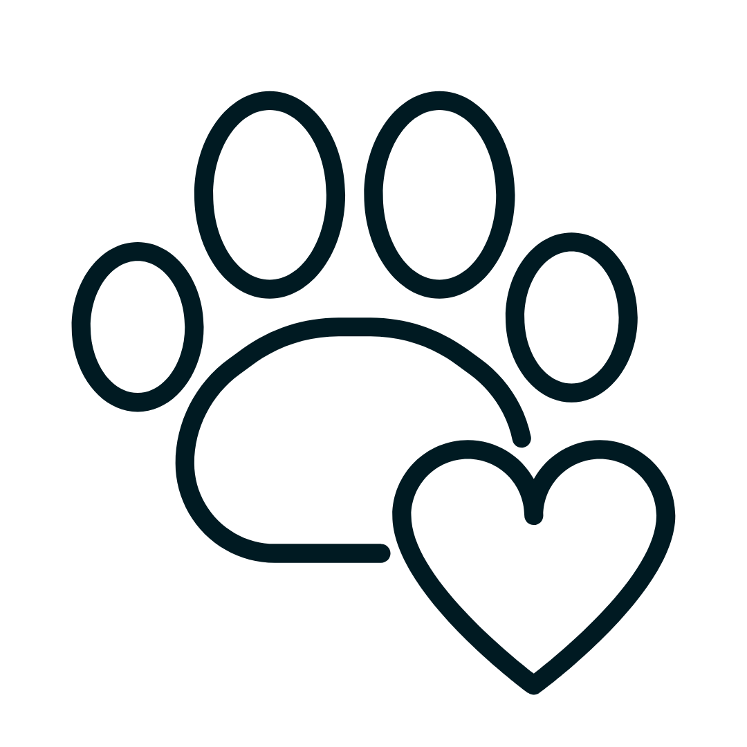 Pet Space